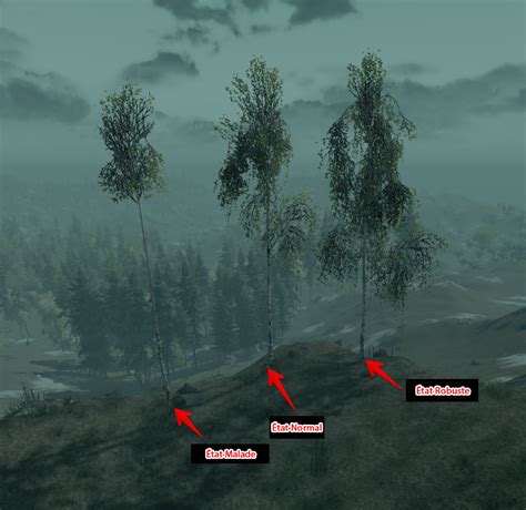 lif wiki|life is feudal wiki.